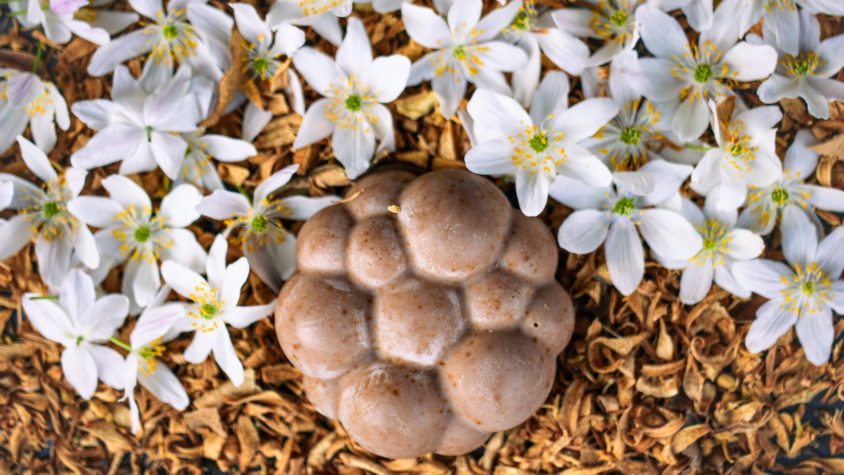 SAVON AMANDÉLIE – Image 2